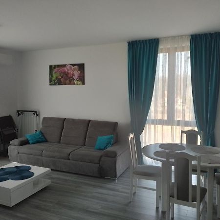 Apartament 2 Camere Lucian Băile Felix Zewnętrze zdjęcie